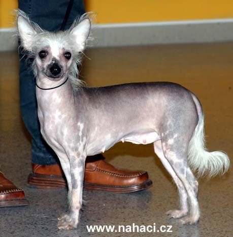 F'Alija La-Arec Mahtob