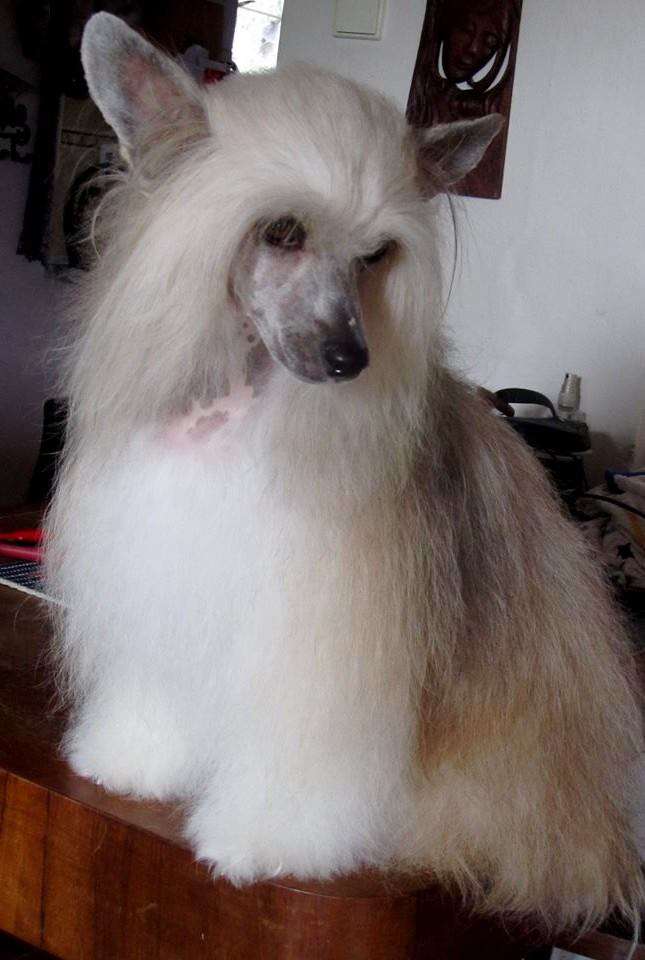 Coco Chanel Milfra-Moravia