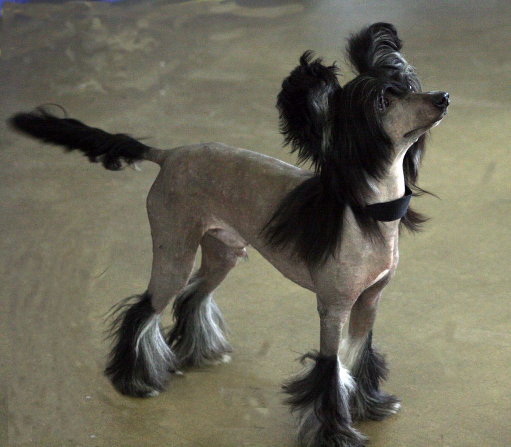 Angel Might As Well Jump