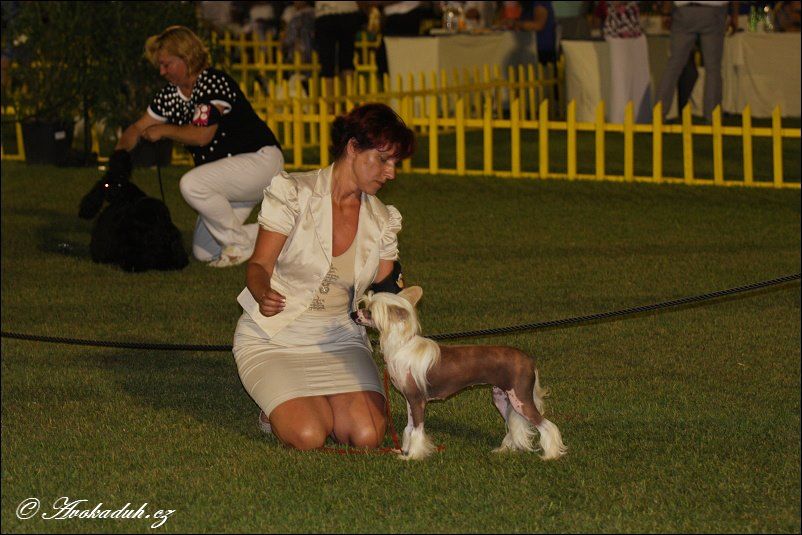 Take it Easy Avokaduh