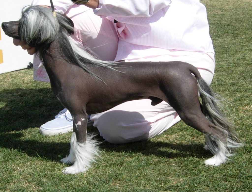 Aja's Sealed With A Kiss