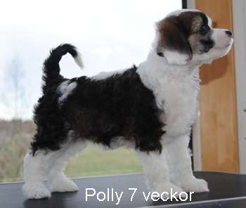 Krysolit It's Love Again