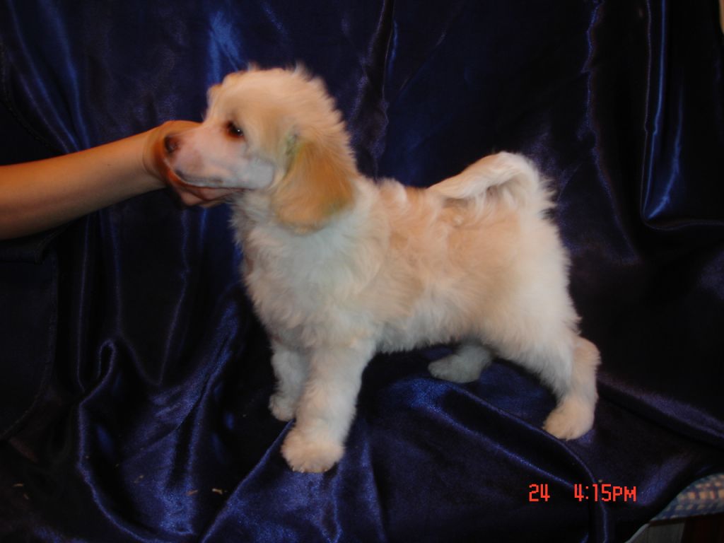 Rouber Balt Denver Mit