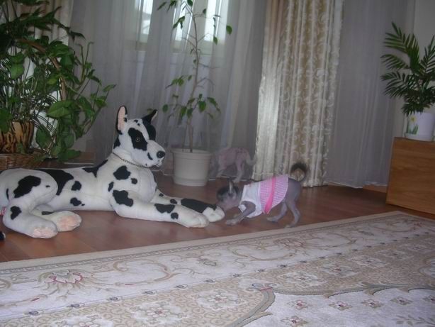 Picture