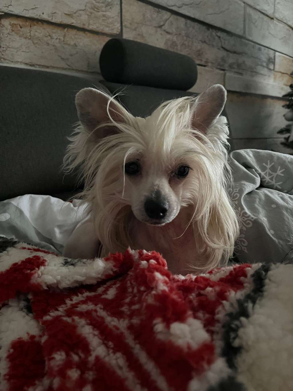 Hayley Heard z Jaromerského panství