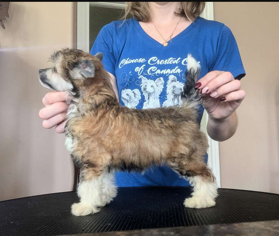 Denali's Art Of Umami