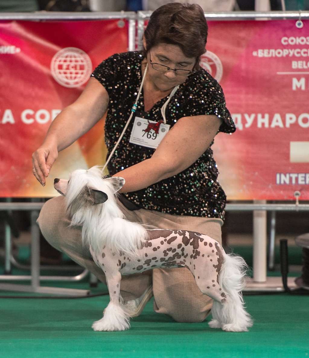 Solar Gait Caramel Marble