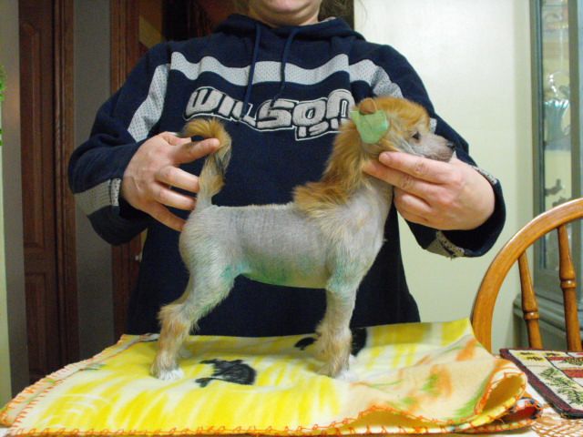 Picture