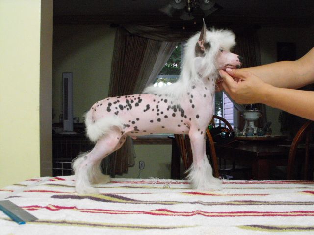 Bidwin You Already Love Me