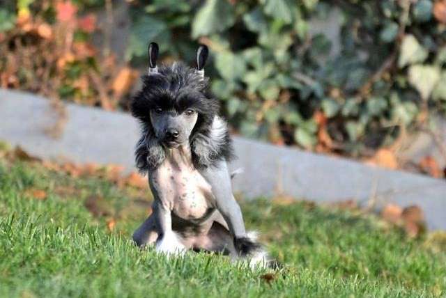 Kiss for me Heybett Jemalle