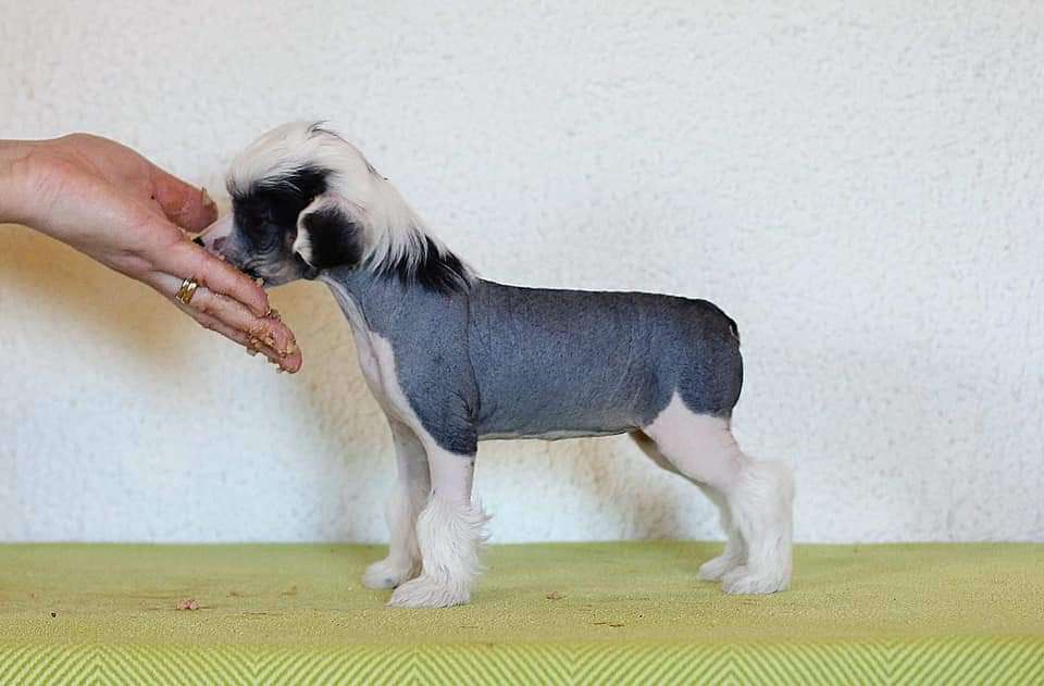 Lilla Wanillas C'est La Vie