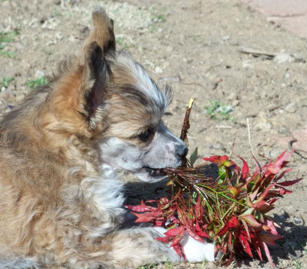Picture