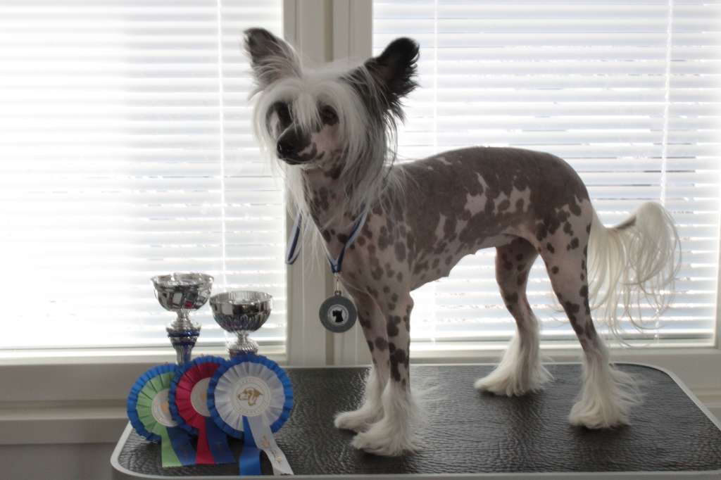 Allegranden Campo Dei Fiori