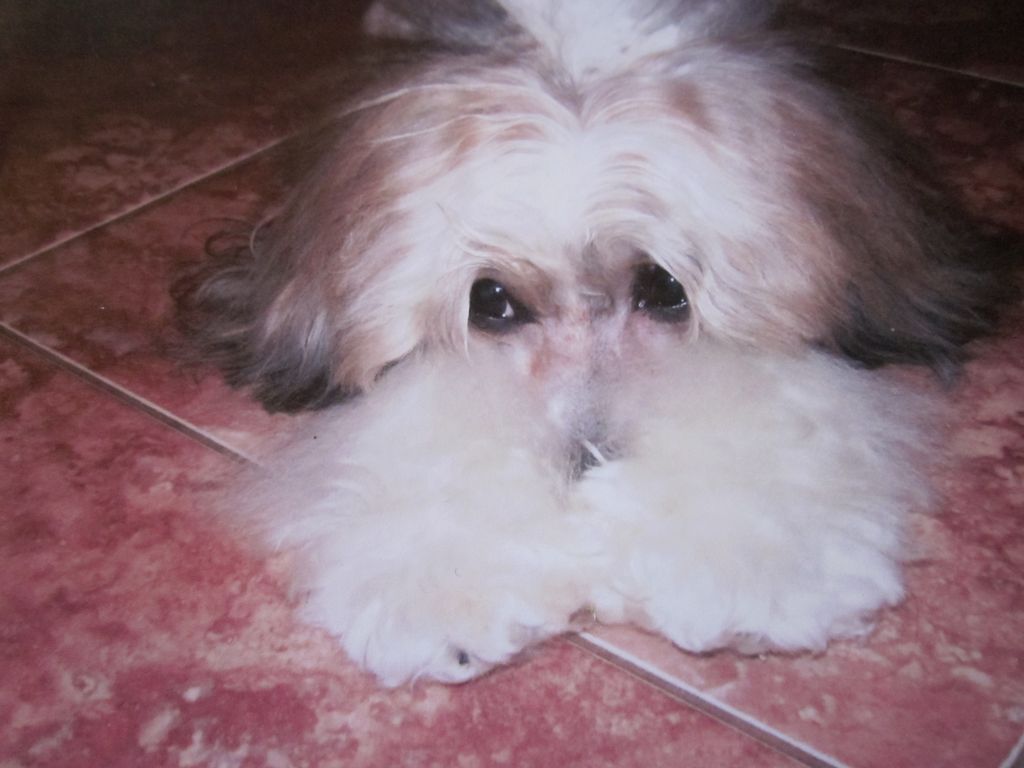 Picture