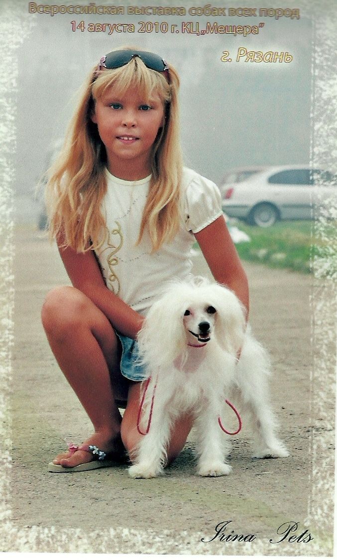 Picture