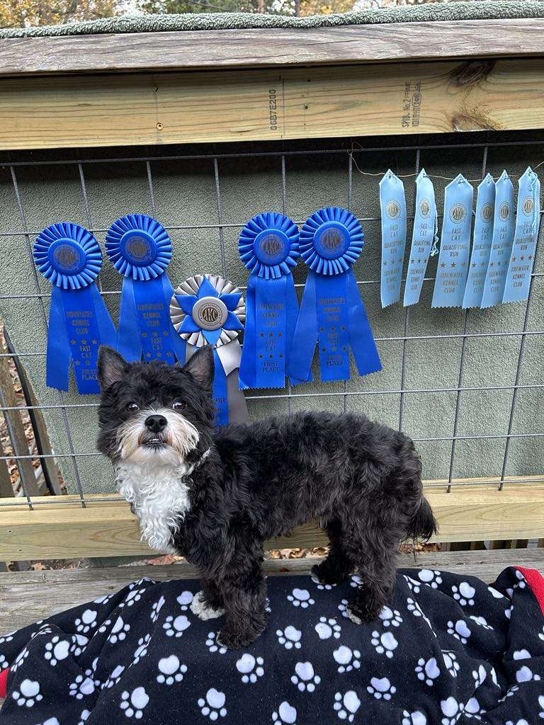 Hpnotik N Kellyn's Down To The Last Drop Dcat Lpat