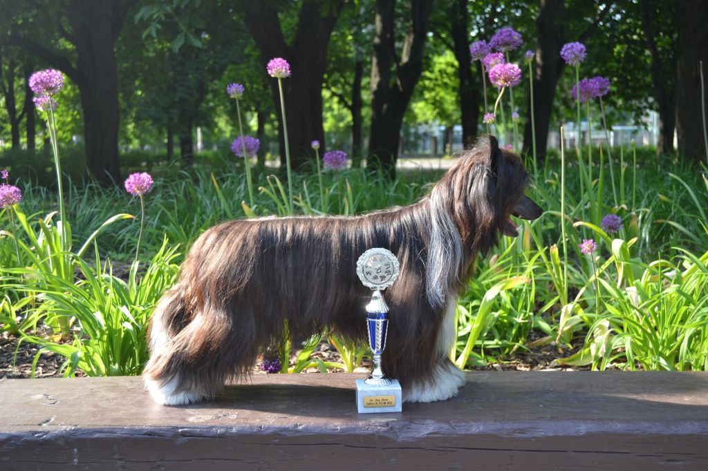 Quiincharme's Heart As Hot Weapon