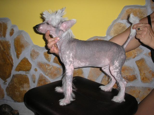 Sárkányföldi Atosz