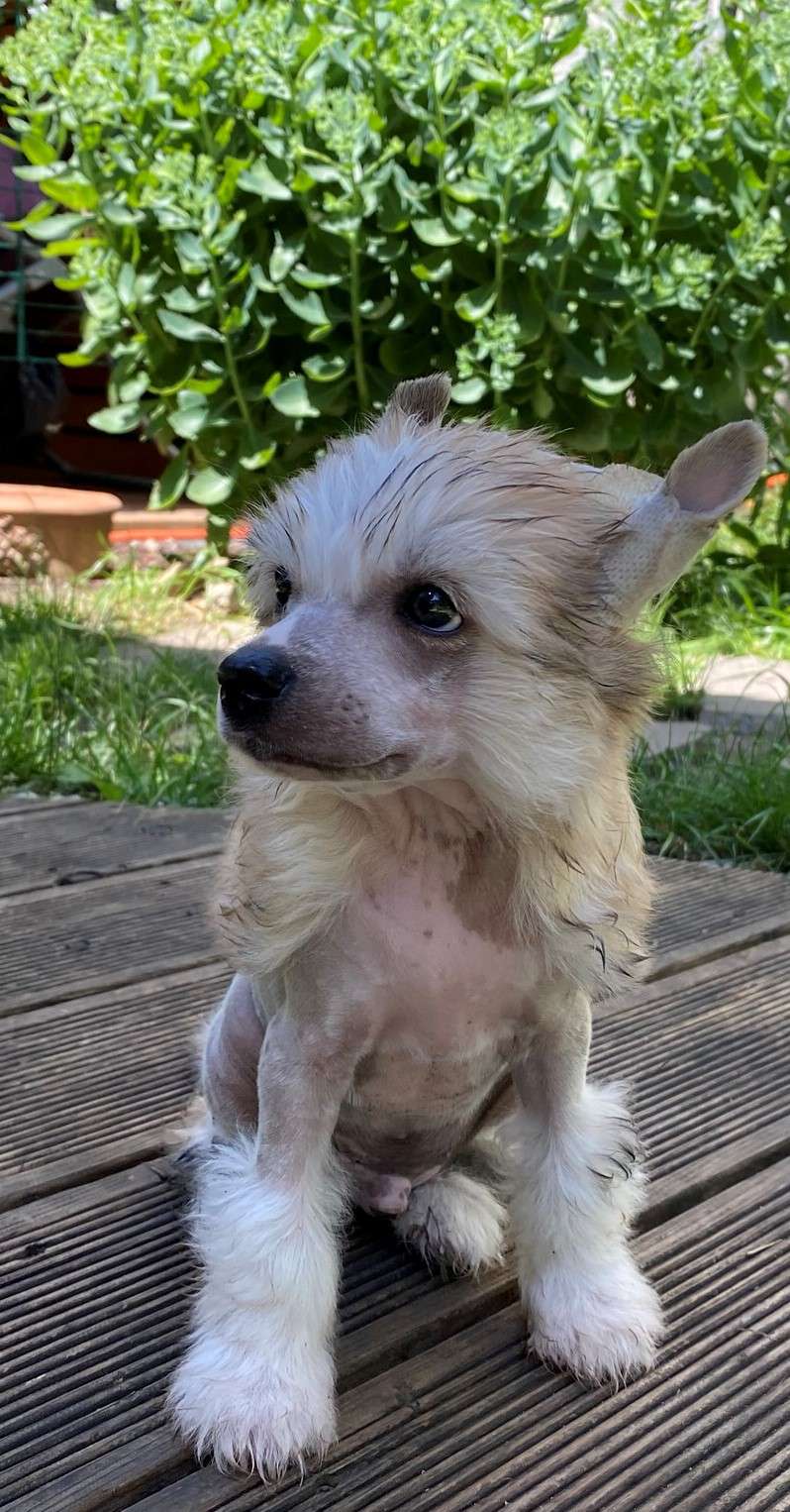 Touch My Soul Berlioz