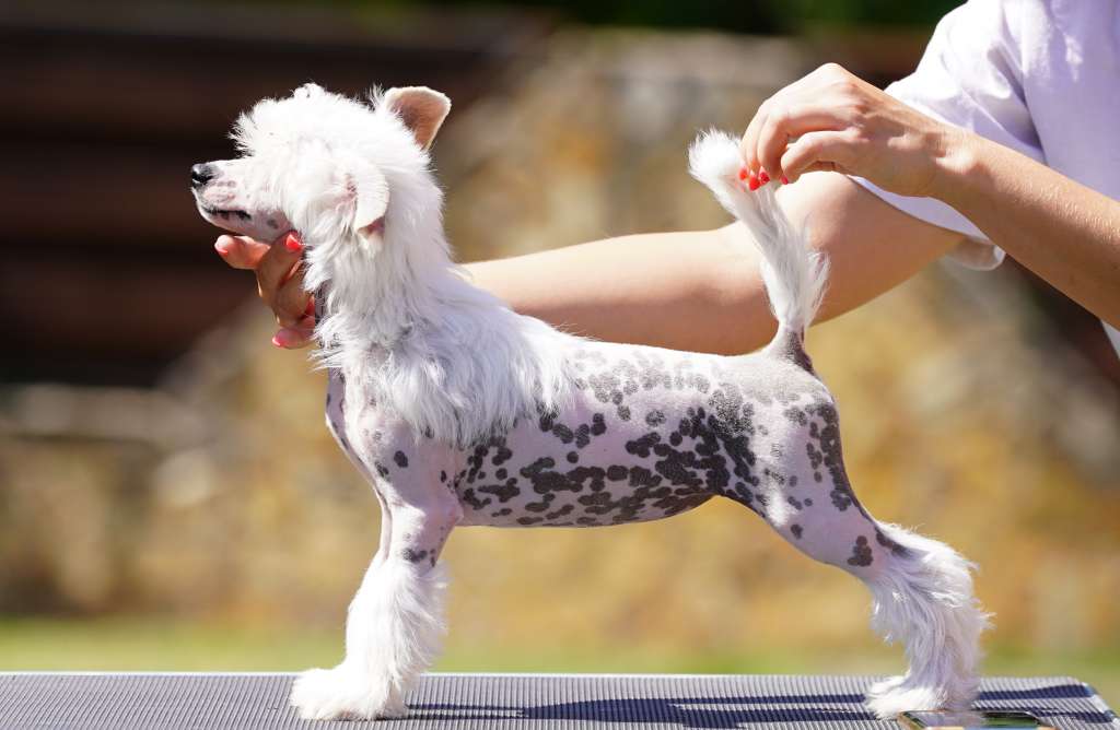 Licky Lips One And Only