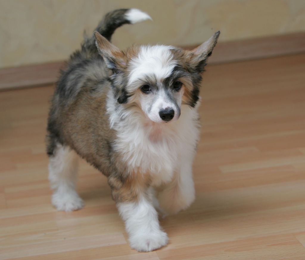 Famrus Born this way.