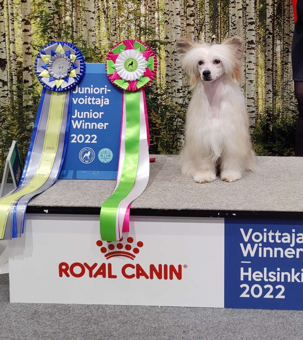 Jean Dark Busy Doin' Nothin'