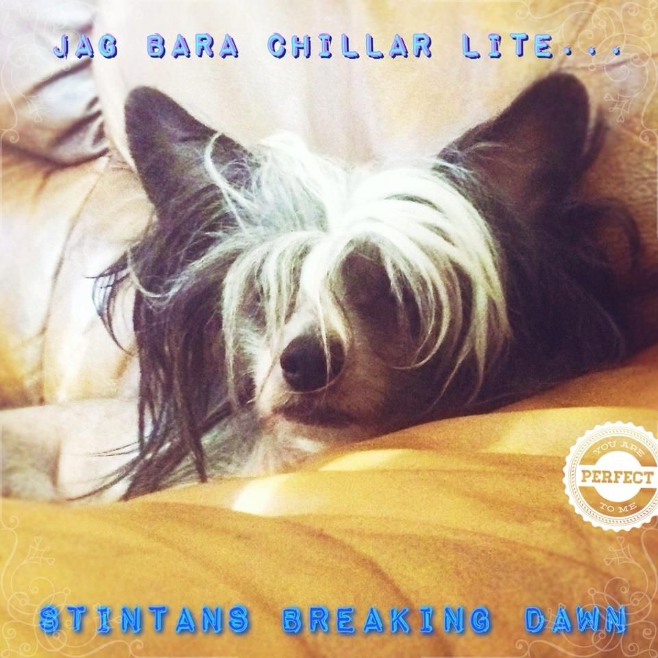 Stintans Breaking Dawn