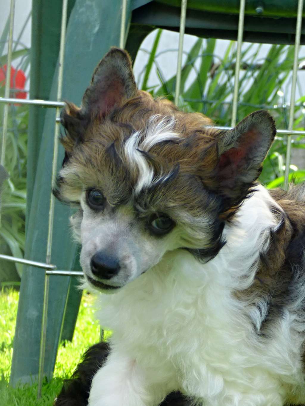 Uriel z Pulnocního dvora