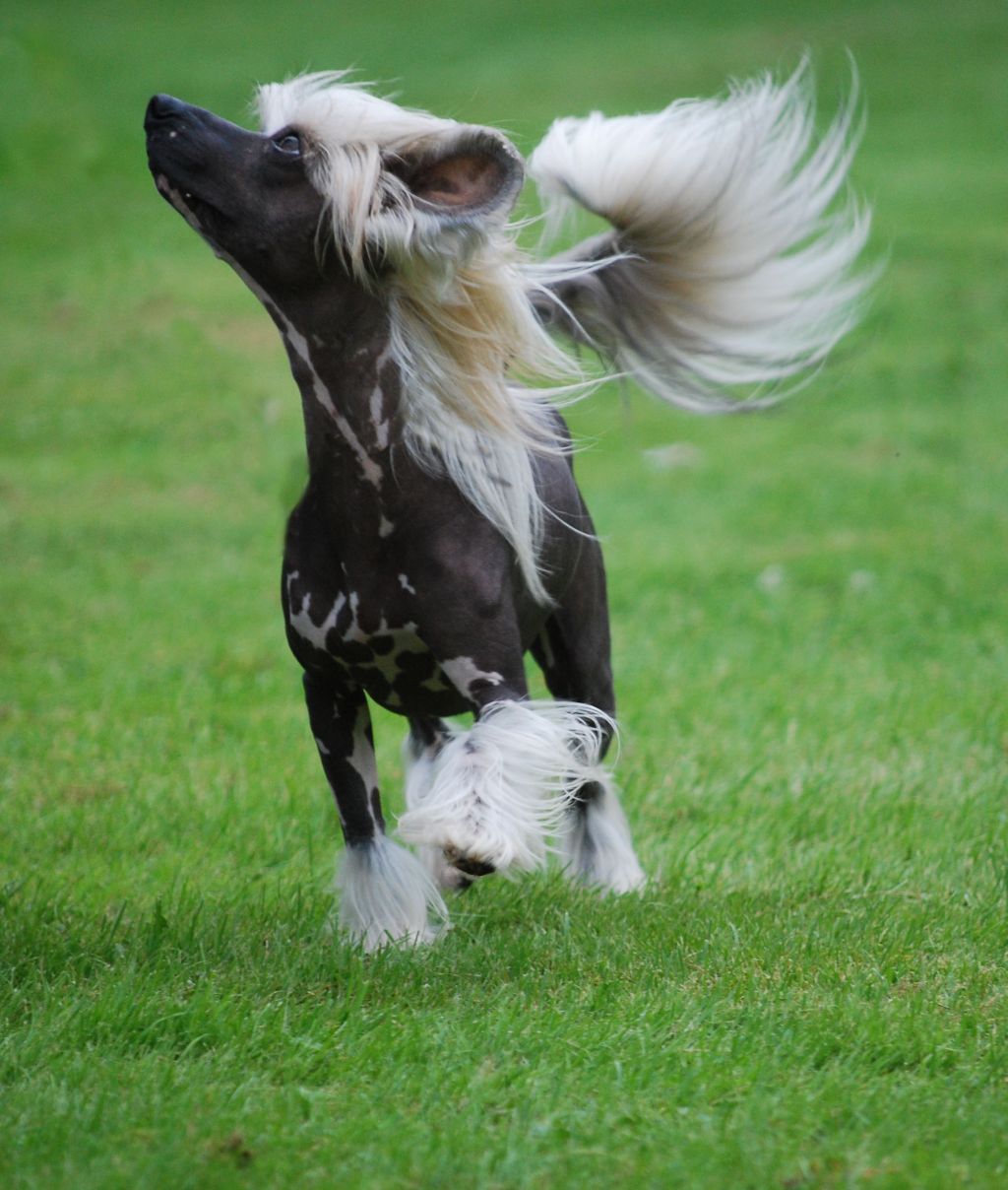 Väråsen Kouldn't Be Better