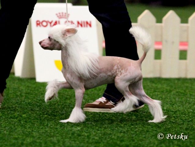 Secret Line's Hot Hawaii