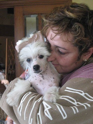 Zoe's Red Do Can Bravo