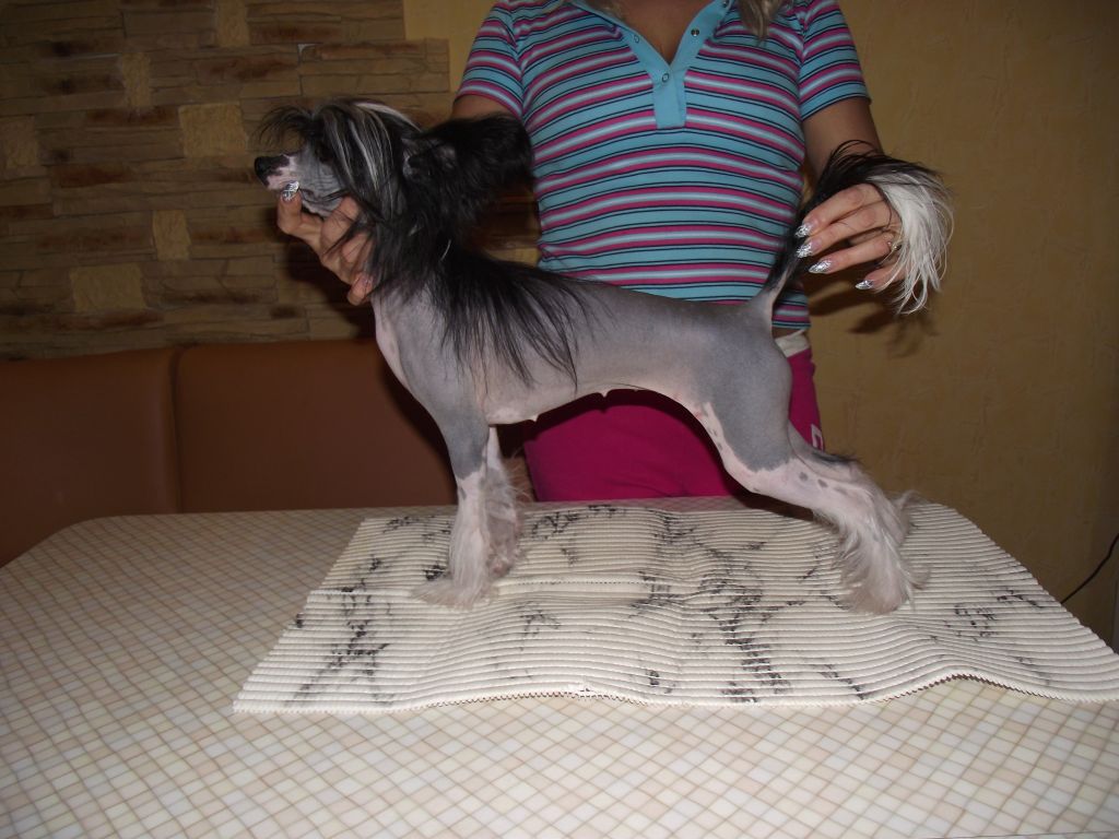 Picture
