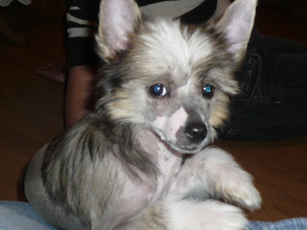 Picture