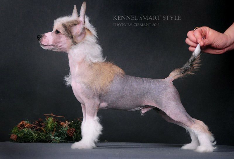 Smart Style Of Course I'm