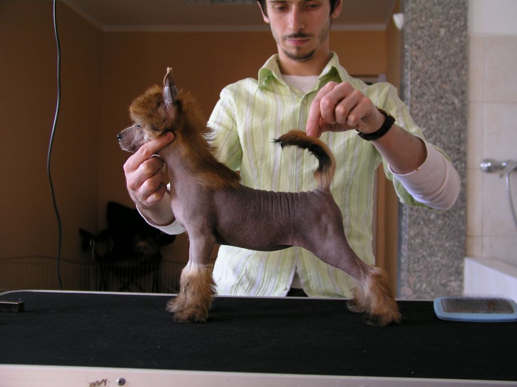 Picture