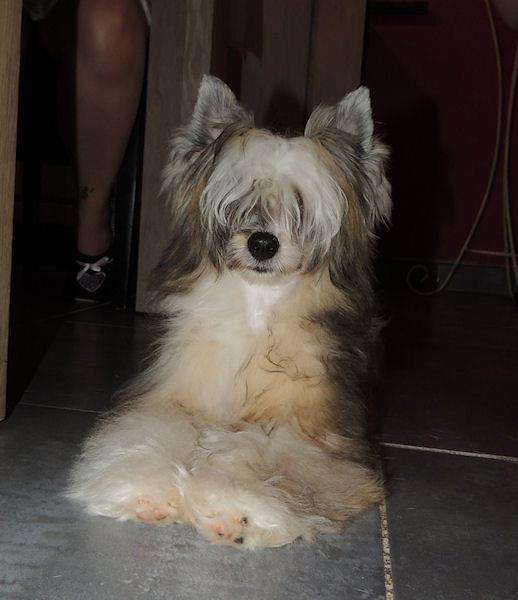 Happy Spirit Gattaca Sensiamore