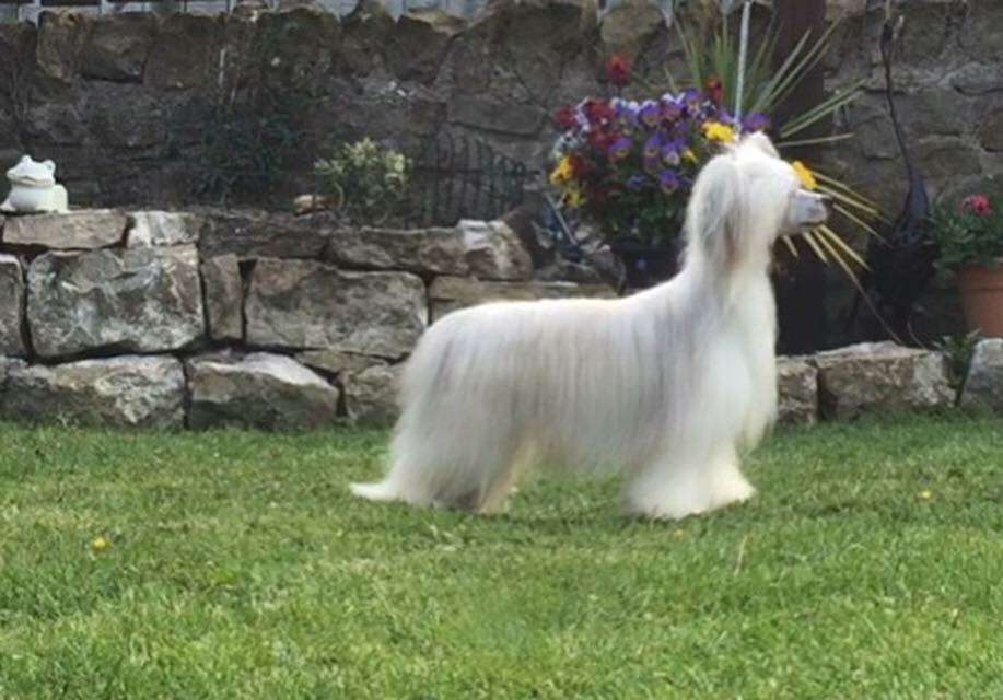 Myglee's Crazy Stupid Love