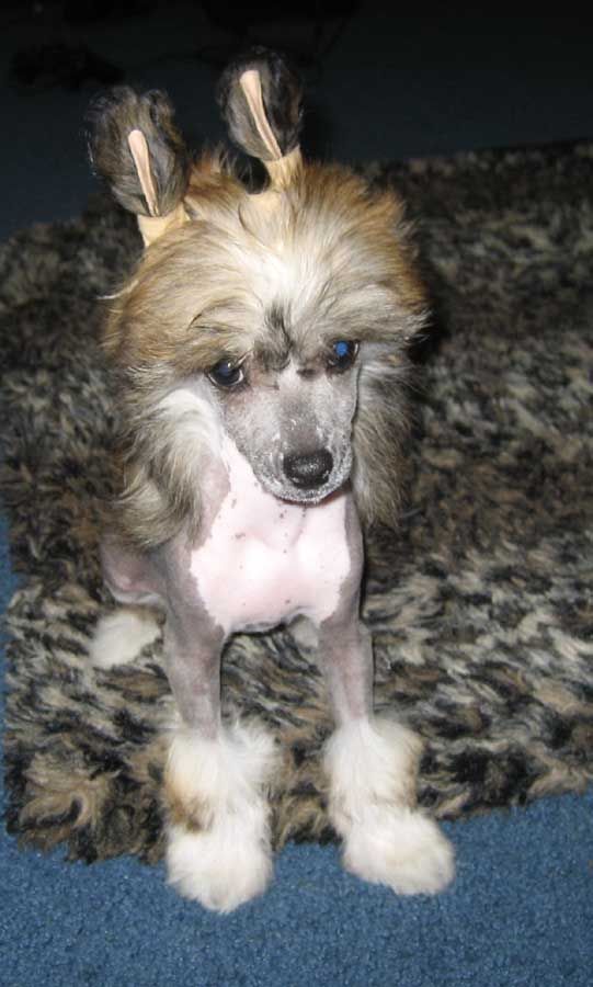 Dunwin Lore Of The Valiant