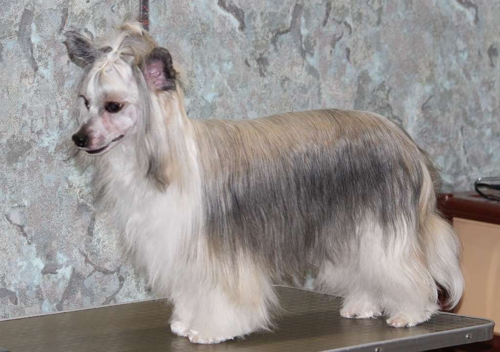 Batistovaya Samba  Dlya Liris