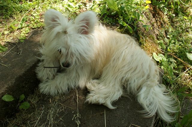 Chattanooga's Love Unleashed