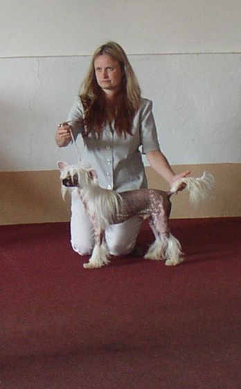 Picture