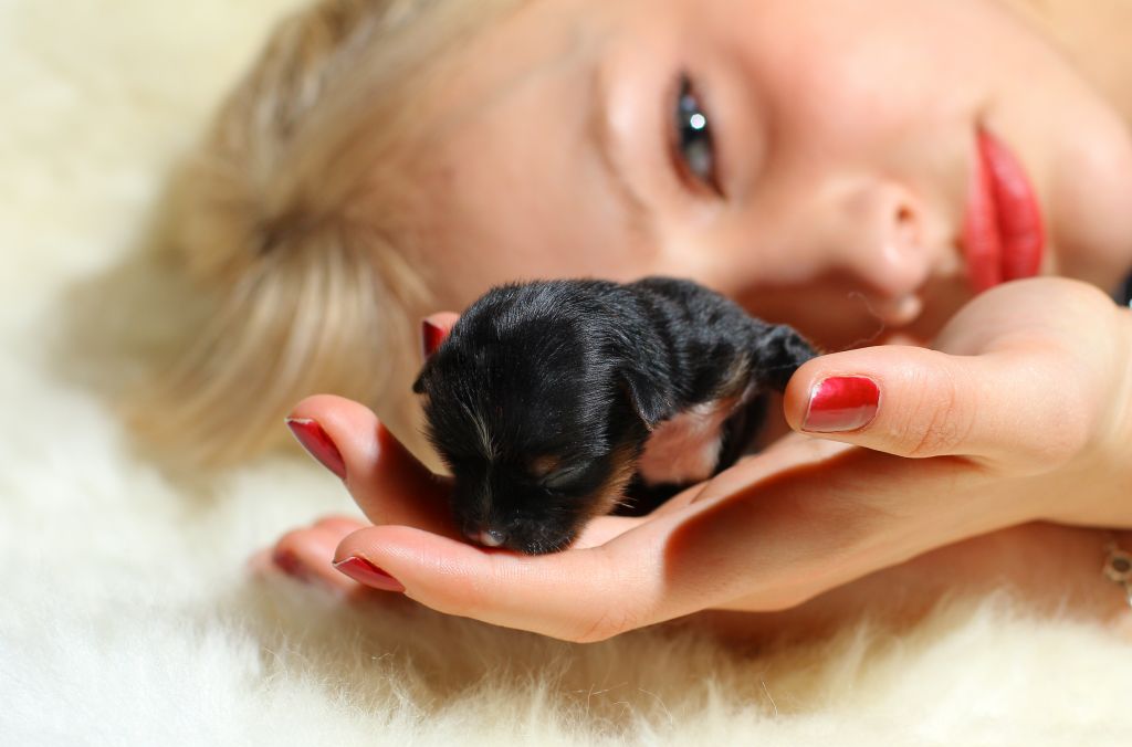 Oks Company Cleopatra Stratan