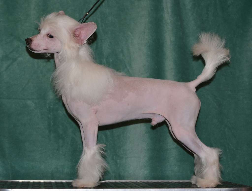 Magic of Success Sun Ray