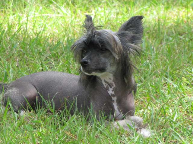 Kalypso's Over The Rainbow