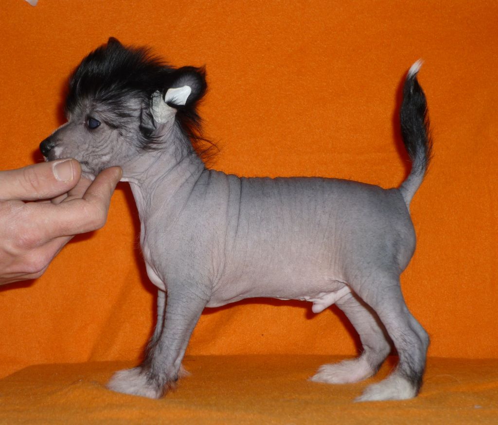 Magnus Staff Derek Zoolander