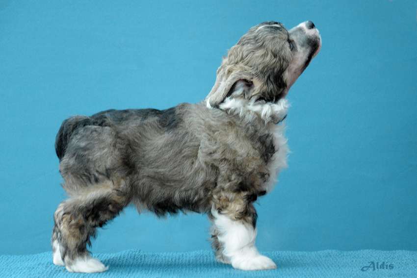 Practical Hero Unlock The Unicorn