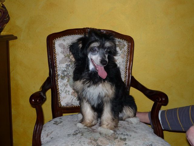Picture