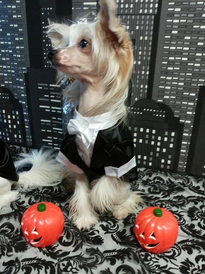 Fina'Starlight Kille