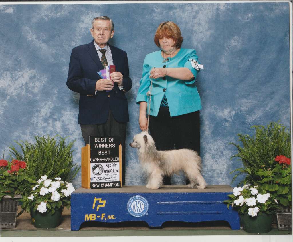 Lyric Town Too Late For Tricks