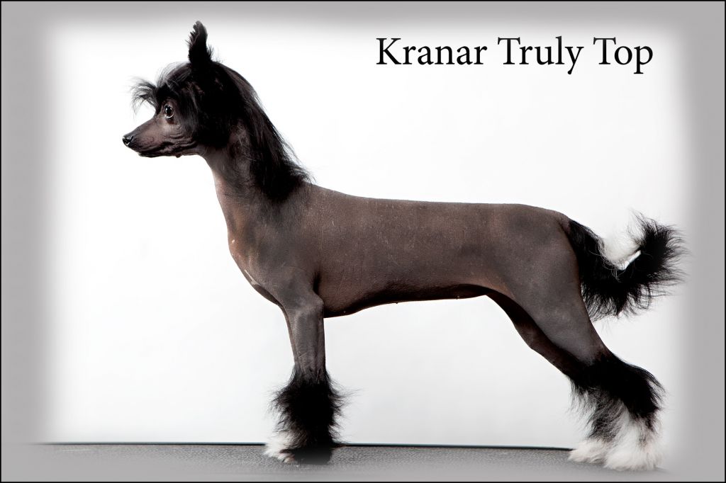 Kranar Truly Top
